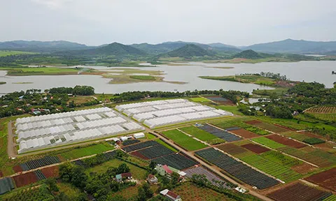 Nông nghiệp công nghệ cao giúp các vùng đất nghèo đơm hoa kết trái