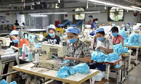 Thủ tướng phê duyệt chương trình hỗ trợ pháp lý liên ngành cho doanh nghiệp nhỏ và vừa