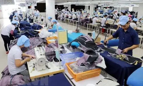Nghị định về quản lý người đại diện phần vốn nhà nước tại doanh nghiệp