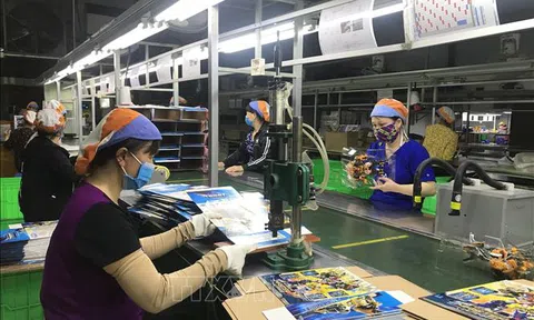 Rà soát các chính sách liên quan nhằm thúc đẩy phát triển mô hình kinh tế chia sẻ