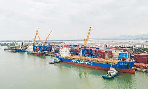 Cảng Chu Lai lần đầu hợp tác xuất khẩu với doanh nghiệp nước ngoài