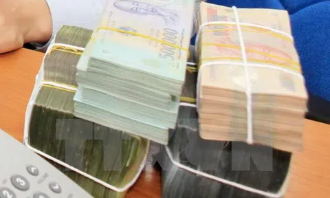 Doanh nghiệp FDI: Lỗ giả, lỗ thật?