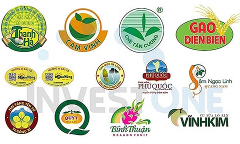 Tuân thủ quy định sở hữu trí tuệ khi thực thi EVFTA:  Doanh nghiệp Việt Nam cần chuẩn bị những việc quan trọng nào?