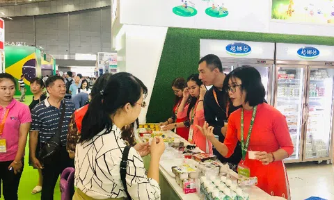 Vinamilk chào 2021 với lô sản phẩm sữa hạt và sữa đặc lớn xuất khẩu đi Trung Quốc