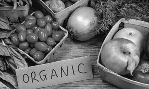 Vì sao các đại gia Việt đổ xô đi làm “nông dân”?