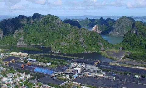 Thông báo tuyển dụng lao động năm 2021