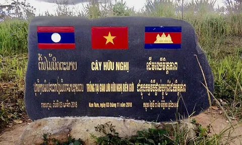 Sắc vàng mùa xuân nơi ngã ba Đông Dương