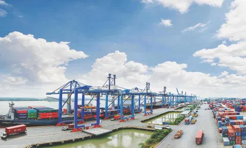 Tận dụng tối đa lợi thế từ các hiệp định thương mại tự do mà Việt Nam đã tham gia ký kết