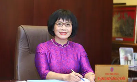 Luật Xử lý vi phạm hành chính: Những điểm mới và việc thi hành