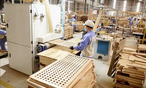 Tổng cục Hải quan: Nhiều doanh nghiệp xuất khẩu sẽ bị đưa vào “tầm ngắm” trong năm 2021