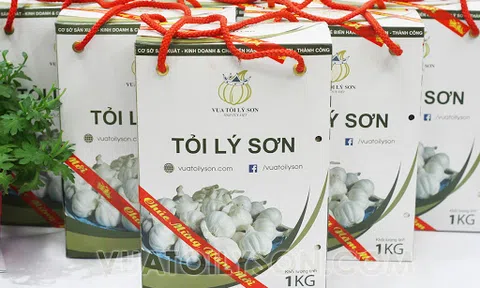 Tỏi Lý Sơn và câu chuyện bảo vệ thương hiệu.