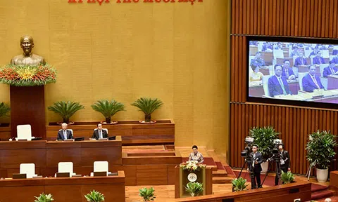 Đơn thư;  Án oan;  Công tác xử lý sai phạm tài chính và thu hồi tài sản tham nhũng…được báo cáo thế nào trước kỳ họp 11 của Quốc hội ?