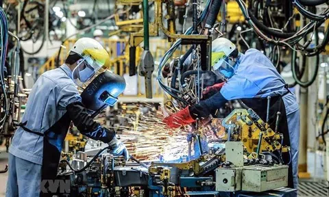 Tăng 15 bậc, Việt Nam lần đầu lọt nhóm chỉ số tự do kinh tế trung bình