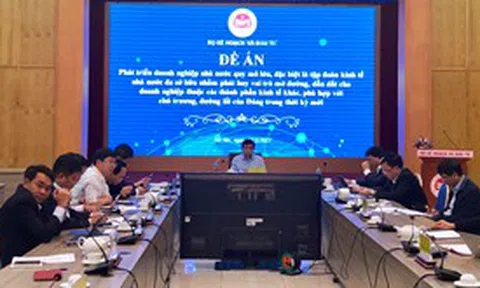 Đề xuất 7 doanh nghiệp nhà nước 'tỷ USD' cho vai trò 'chim đầu đàn'
