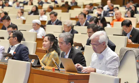 ĐBQH Lê Thanh Vân nêu bài học từ một Bộ trưởng bị kết án do sai lầm khi làm Thứ trưởng