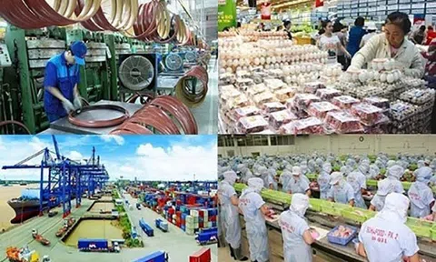 Đổi mới toàn diện quản lý Nhà nước trong phát triển kinh tế tư nhân