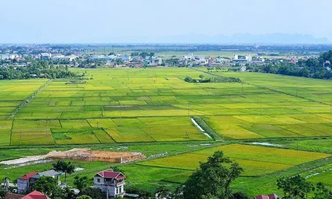 Tổng cục Quản lý đất đai sẽ kiểm tra trách nhiệm quản lý đất đai tại 26 tỉnh, thành