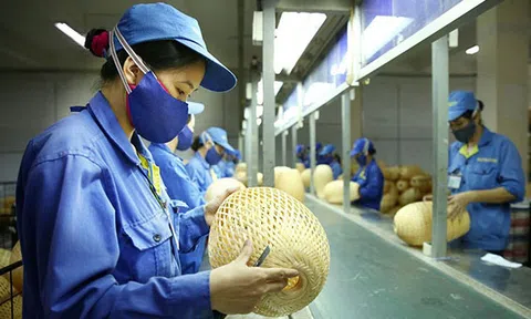 TS. Cấn Văn Lực : Cần một gói hỗ trợ 93.000 tỷ cho năm 2021