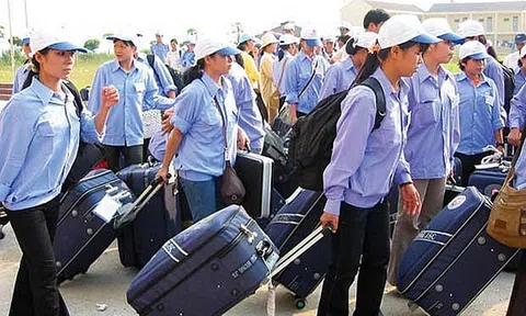 Ba doanh nghiệp xuất khẩu lao động bị xử phạt do vi phạm quy định