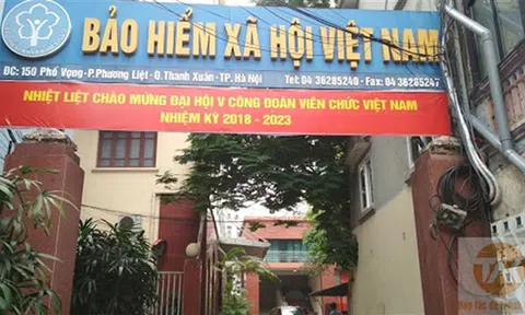Bảo hiểm Xã hội Việt Nam chuyển 302 hồ sơ của nhiều cơ quan, doanh nghiệp sang cơ quan điều tra đề nghị xử lý hình sự