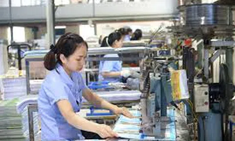 Cần có chính sách tạo thuận lợi hơn cho các doanh nghiệp tư nhân vượt lên sau dịch Covid-19