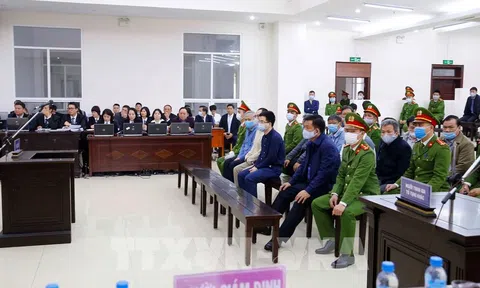 Xét xử vụ Ethanol Phú Thọ: Đối chất làm rõ sai phạm trong chỉ định thầu