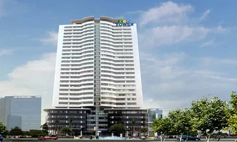 Cổ phiếu CEO bị đưa vào diện cảnh báo