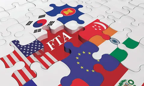 Quy tắc xuất xứ trong CPTPP, RCEP, EVFTA: Những lưu ý quan trọng, Doanh nghiệp cần biết