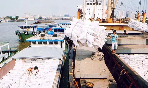 Một số vấn đề về sở hữu trí tuệ doanh nghiệp xuất khẩu cần lưu ý