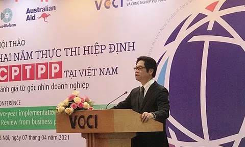 Yếu kém về năng lực sẽ cản trở doanh nghiệp hưởng lợi từ CPTPP