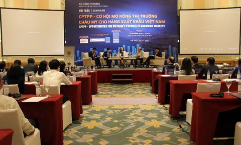 Cộng đồng doanh nghiệp Việt Nam hưởng lợi gì tại thị trường châu Mỹ sau 2 năm thực thi CPTPP?
