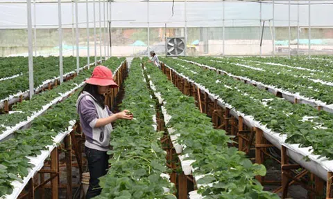 Những qui định và đề xuất mới liên quan công tác thuế , doanh nghiệp cần biết