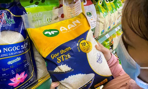 Thương hiệu Gạo ST25  có nguy cơ bị mất: Giải pháp nào để bảo vệ thương hiệu của DN Việt tại nước ngoài ?