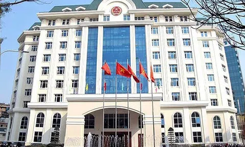 Thông tư 31 của Bộ Tài chính qui định về quản lý rủi ro trong quản lý thuế có gì đáng lưu ý ?