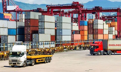 Doanh nghiệp xuất khẩu Việt bủa vây bởi phòng vệ thương mại