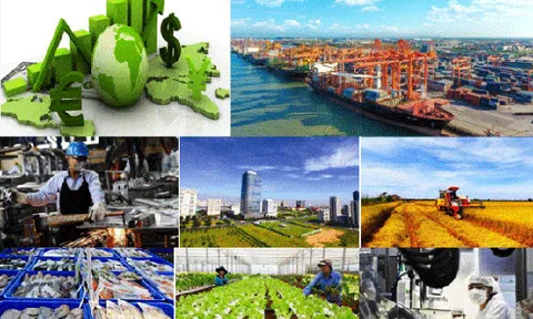 Dự thảo sửa đổi, bổ sung một số điều về xử phạt vi phạm hành chính trong lĩnh vực Kế hoạch và Đầu tư