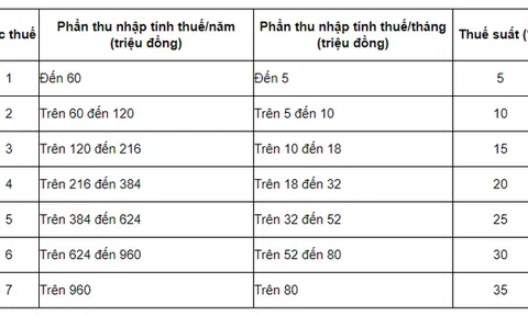 Vì sao viết phần mềm cho Google thu nhập 330 tỷ đồng/năm đóng thuế suất 7% còn người làm công ăn lương có mức thuế suất TNCN lũy tiến từ 5-35%?