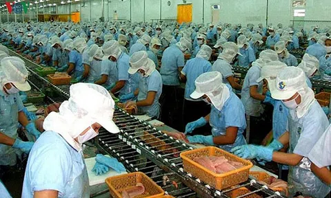 Tuân thủ quy định về sở hữu trí tuệ khi thâm nhập thị trường EU