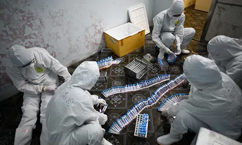 Nguyên nhân khiến dịch Covid-19 bùng phát tại Bắc Giang
