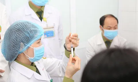 Có thể cấp phép khẩn cấp vaccine ngừa COVID-19 Nano Covax