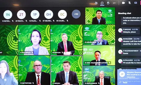 Hội nghị Bộ trưởng Thương mại APEC lần thứ 27: Nhiều biện pháp ứng phó với đại dịch Covid-19
