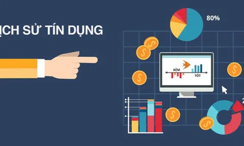 Nguyên tắc hoạt động và các hành vi bị cấm trong hoạt động dịch vụ thông tin tín dụng