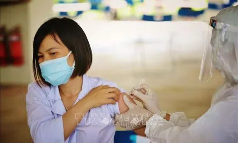 Bộ Y tế cảnh báo về nguy cơ bị lừa đảo tiêm chủng vaccine phòng COVID-19