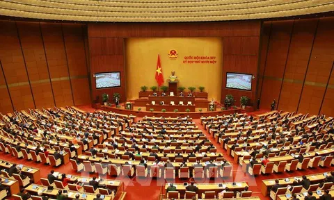 499 người trúng cử đại biểu Quốc hội, 1 người không được xác nhận tư cách đại biểu