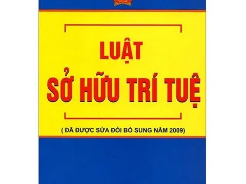 Sửa đổi Luật Sở hữu trí tuệ: VCCI góp ý nhiều chế định pháp lý quan trọng liên quan hoạt động kinh doanh của doanh nghiệp