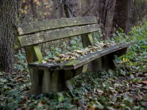 Căn cứ chấm dứt hiệu lực văn bằng bảo hộ, nếu không sử dụng Nhãn hiệu