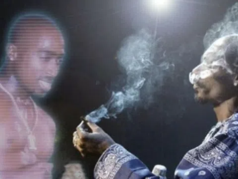 Hình ảnh ba chiều và luật sở hữu trí tuệ