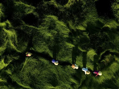 Phân biệt quyền tác giả và quyền liên quan đến quyền tác giả