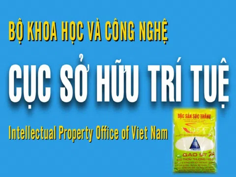 Một số vấn đề liên quan đến thông tin thương hiệu gạo ST25 bị “đánh cắp” tại Hoa Kỳ