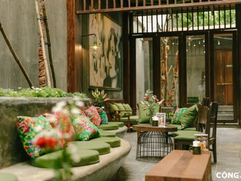 Cạnh tranh không lành mạnh và sở hữu trí tuệ nhìn từ câu chuyện của Cộng cà phê